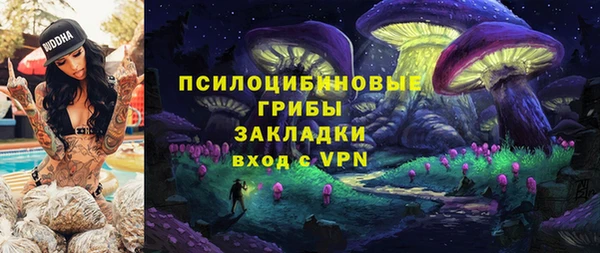 apvp Осинники