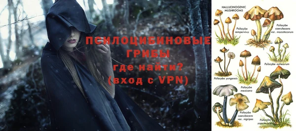apvp Осинники