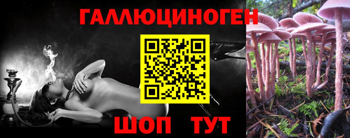 Псилоцибиновые грибы ЛСД Лысьва